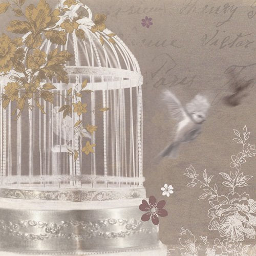 Arthouse Silver Birdcage Canvas