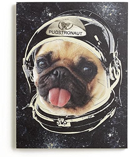 Space Pug Printed Wall Art Canvas - 30cm x 40cm - Boys Girls Kids Bedroom Decor