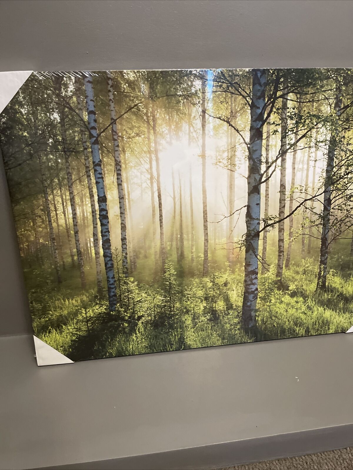 Large Forest Woodland Scene Canvas Wall Art Hanging Picture 90 x 60cm RRP £39