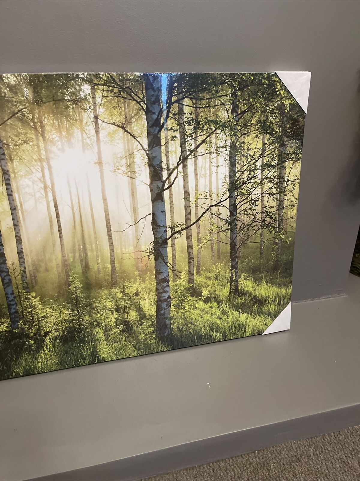 Large Forest Woodland Scene Canvas Wall Art Hanging Picture 90 x 60cm RRP £39