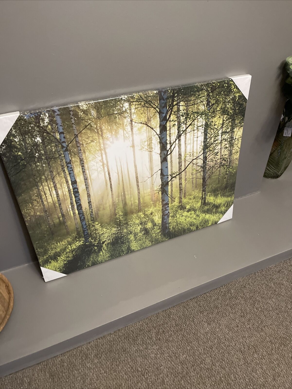 Large Forest Woodland Scene Canvas Wall Art Hanging Picture 90 x 60cm RRP £39