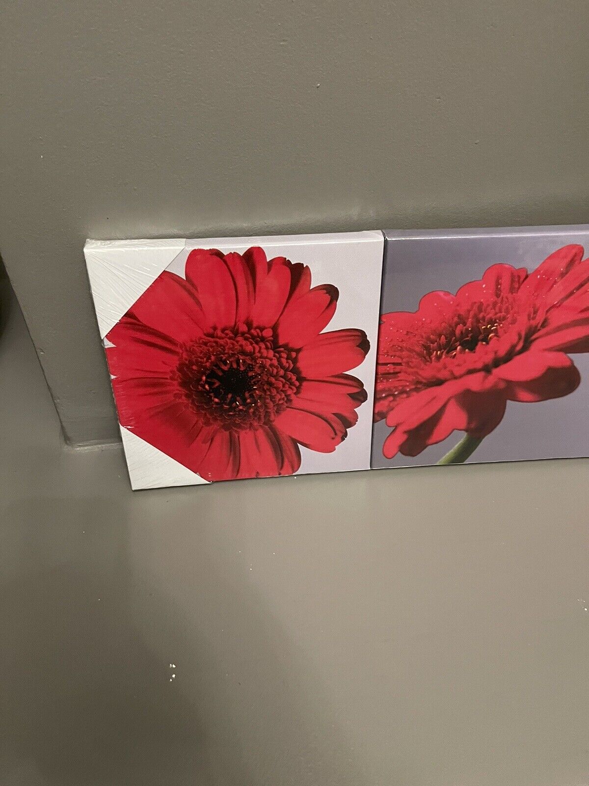 Set of 3 Gerbera Flower Red Grey Printed Wall Art Canvas Pictures RRP £20.00