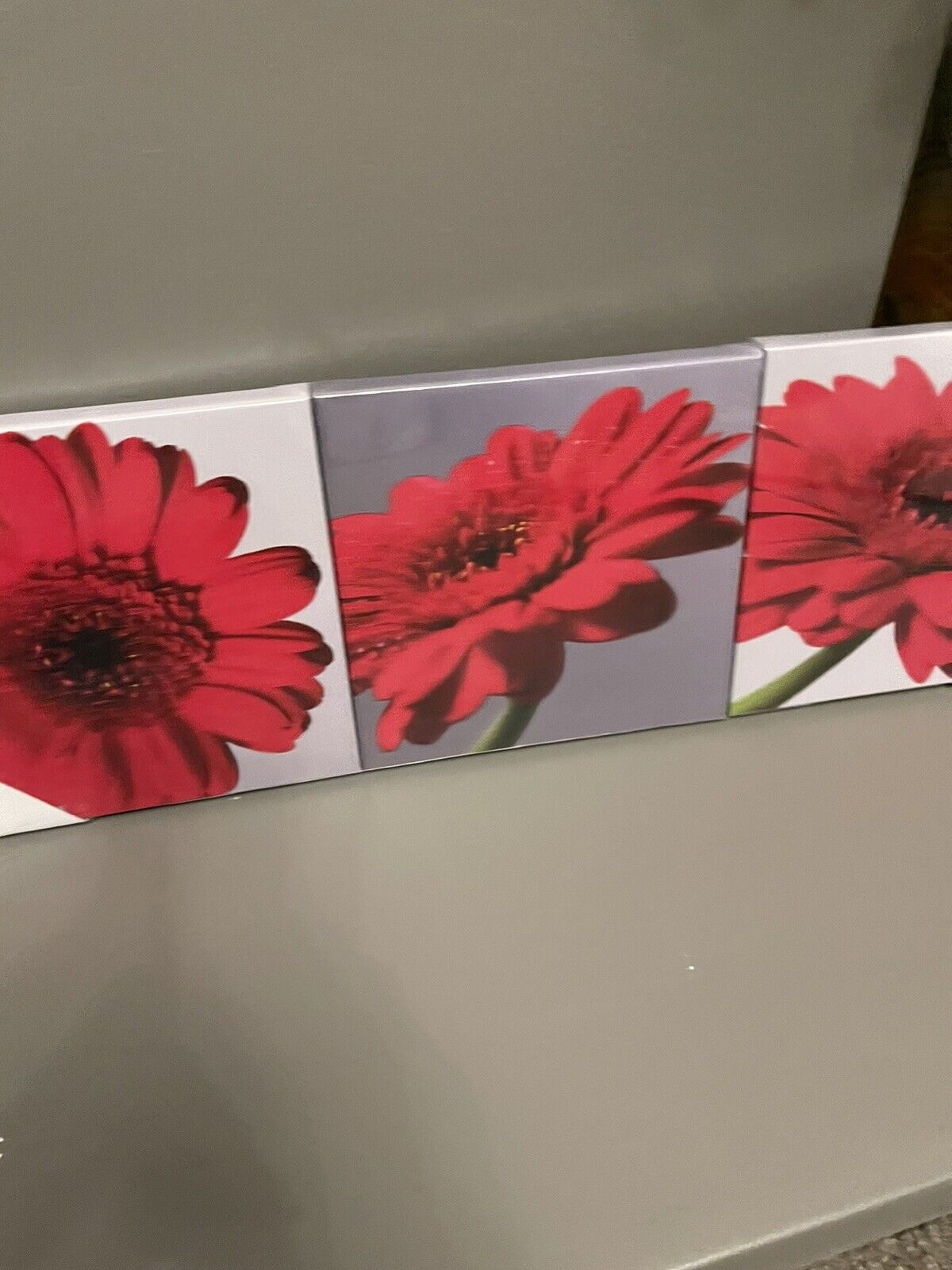 Set of 3 Gerbera Flower Red Grey Printed Wall Art Canvas Pictures RRP £20.00