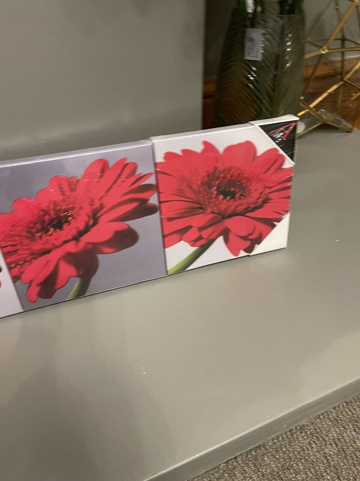 Set of 3 Gerbera Flower Red Grey Printed Wall Art Canvas Pictures RRP £20.00