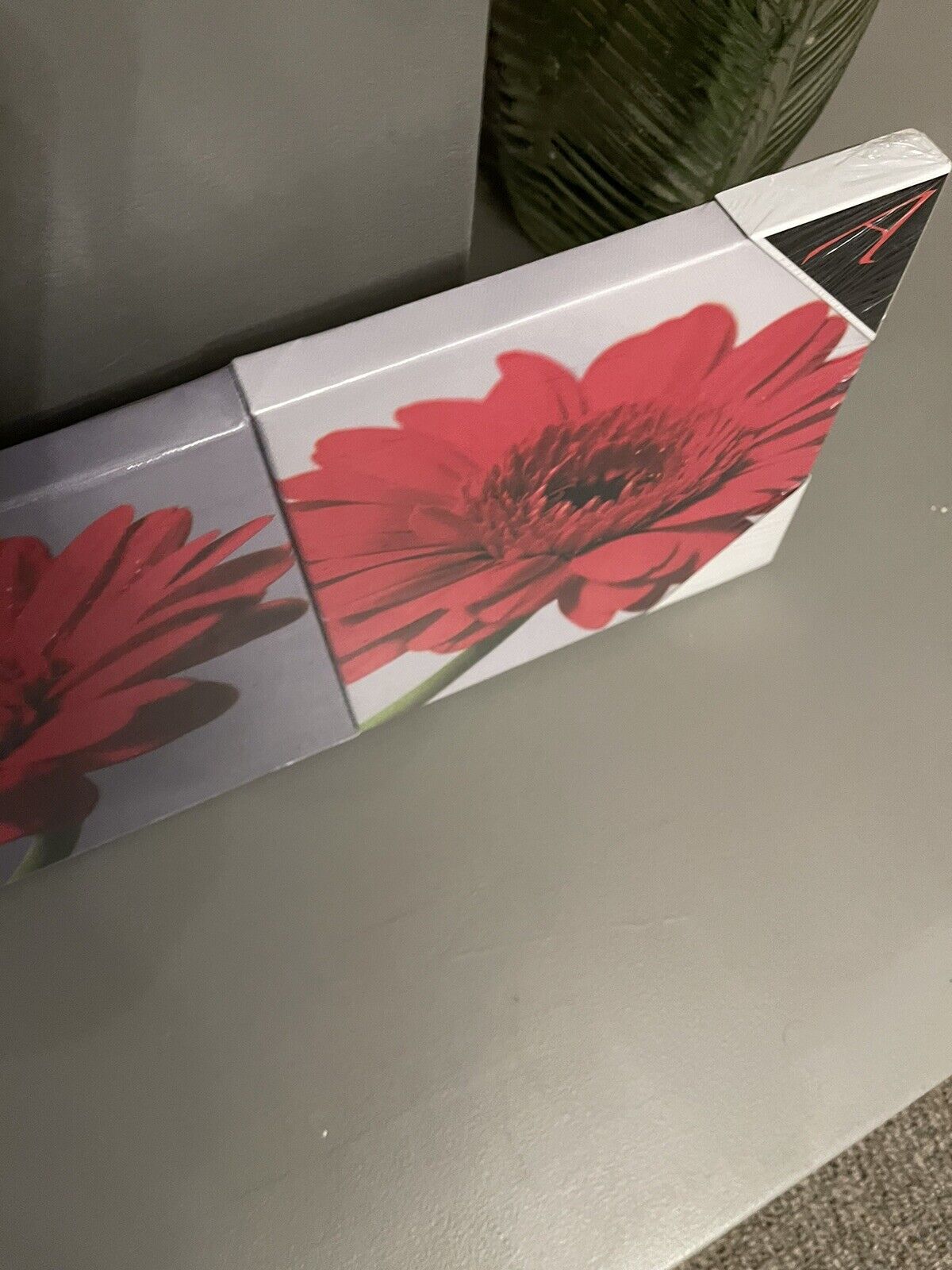 Set of 3 Gerbera Flower Red Grey Printed Wall Art Canvas Pictures RRP £20.00