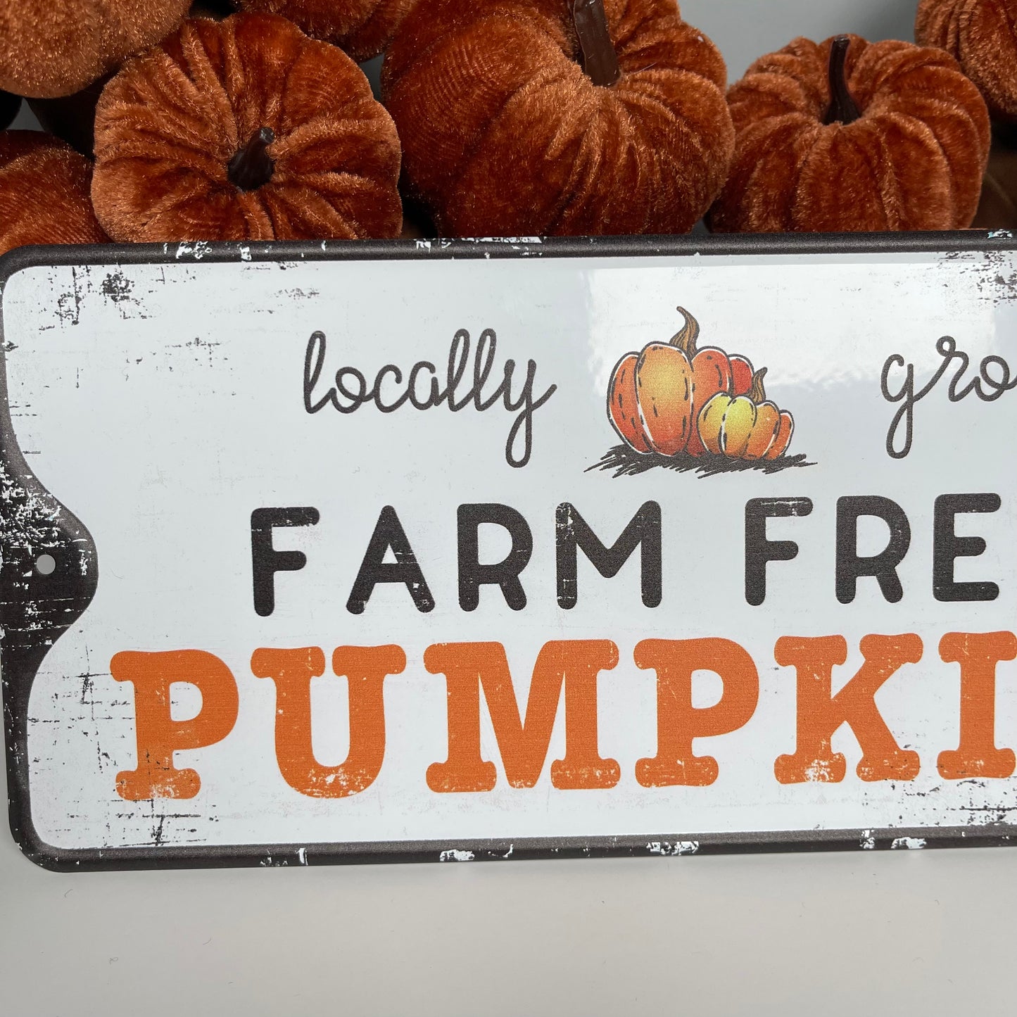 Farm Fresh Pumpkin Metal Sign
