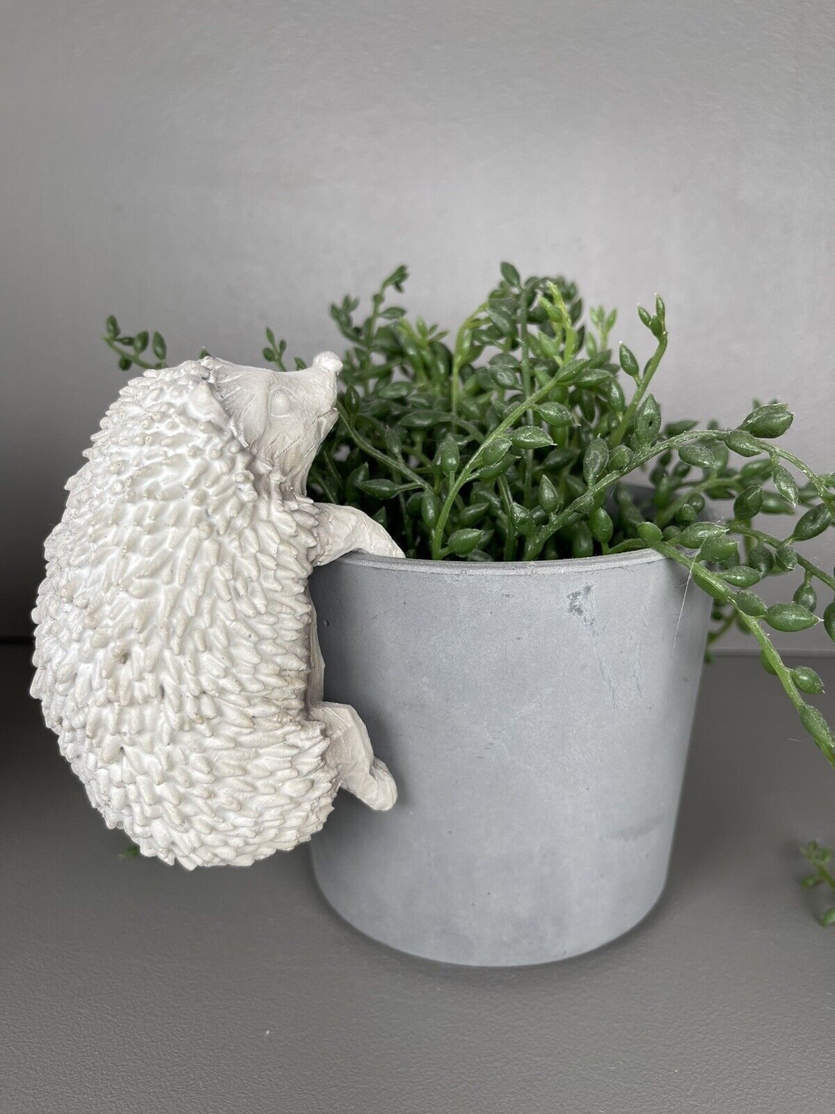 Hedgehog Pot Hanger