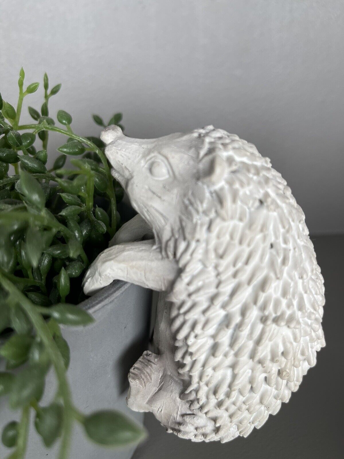 Hedgehog Pot Hanger