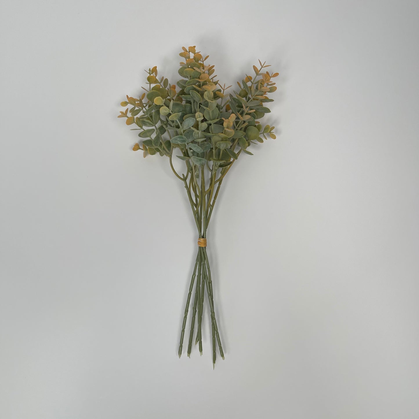 Burnt Orange Tipped Eucalyptus Bunch