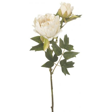 Ivory Peony Spray - 52 cm