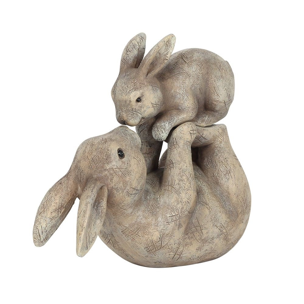 Some Bunny Loves You
