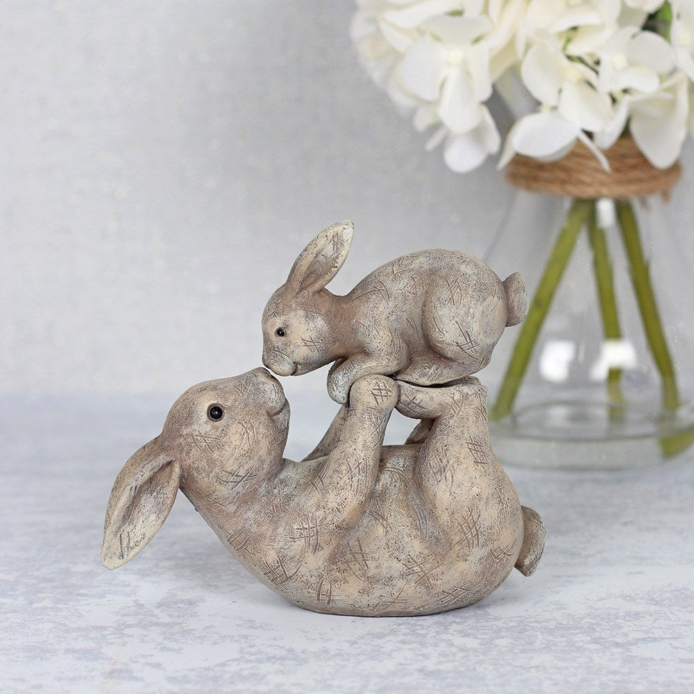 Some Bunny Loves You