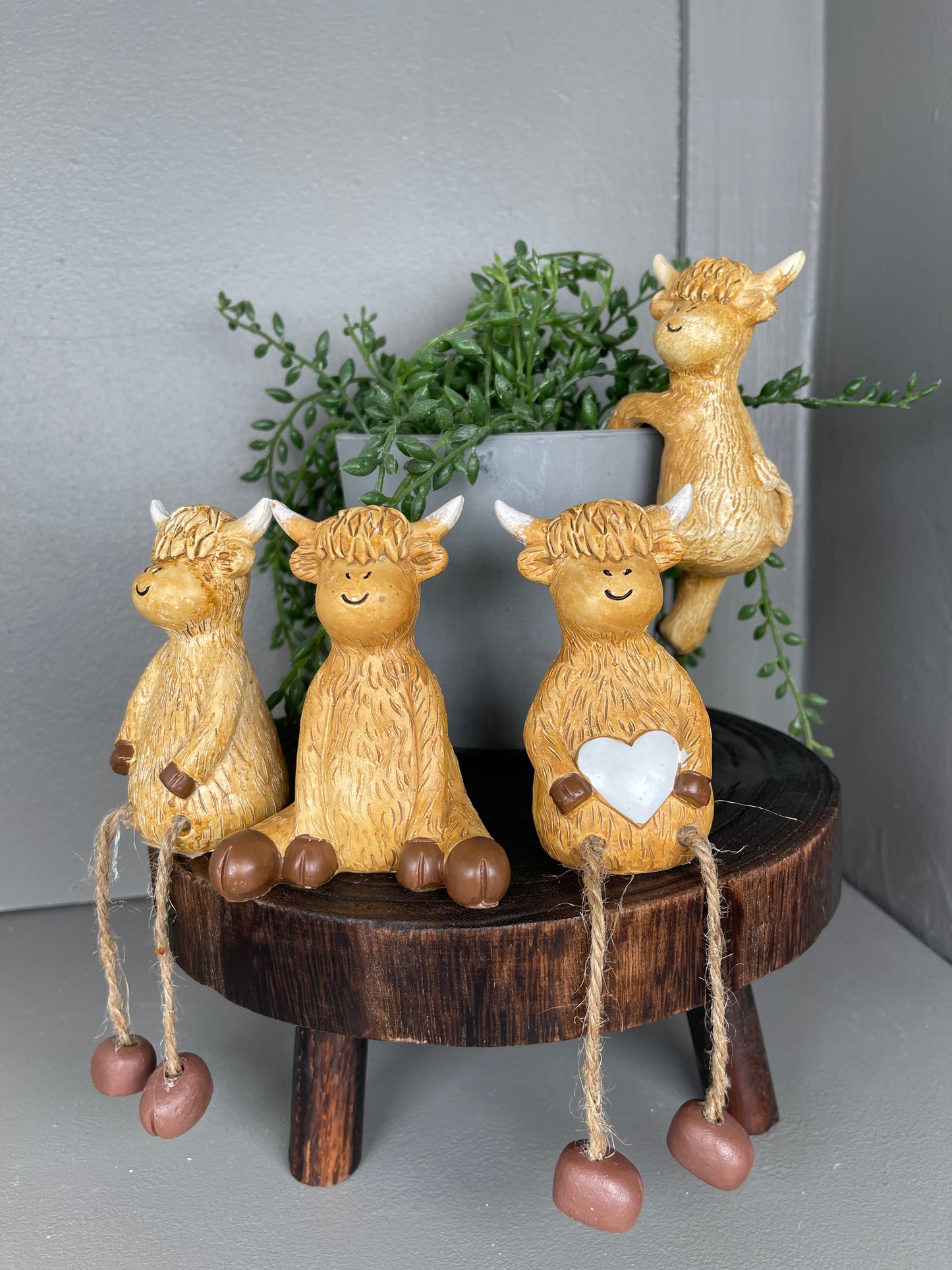 Highland Cow Collection