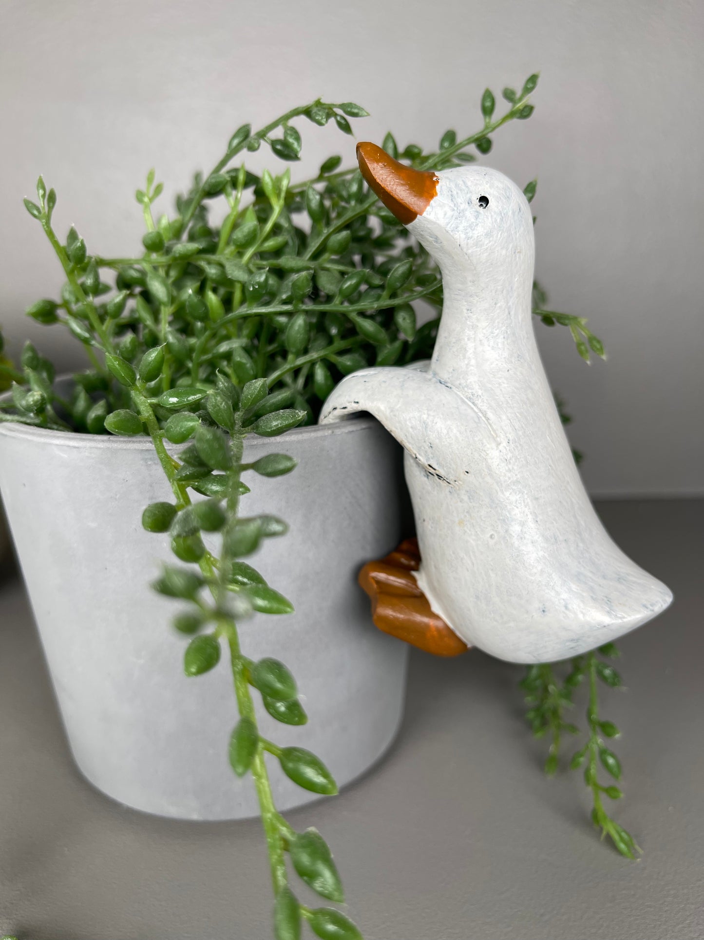 Duck Pot Hanger