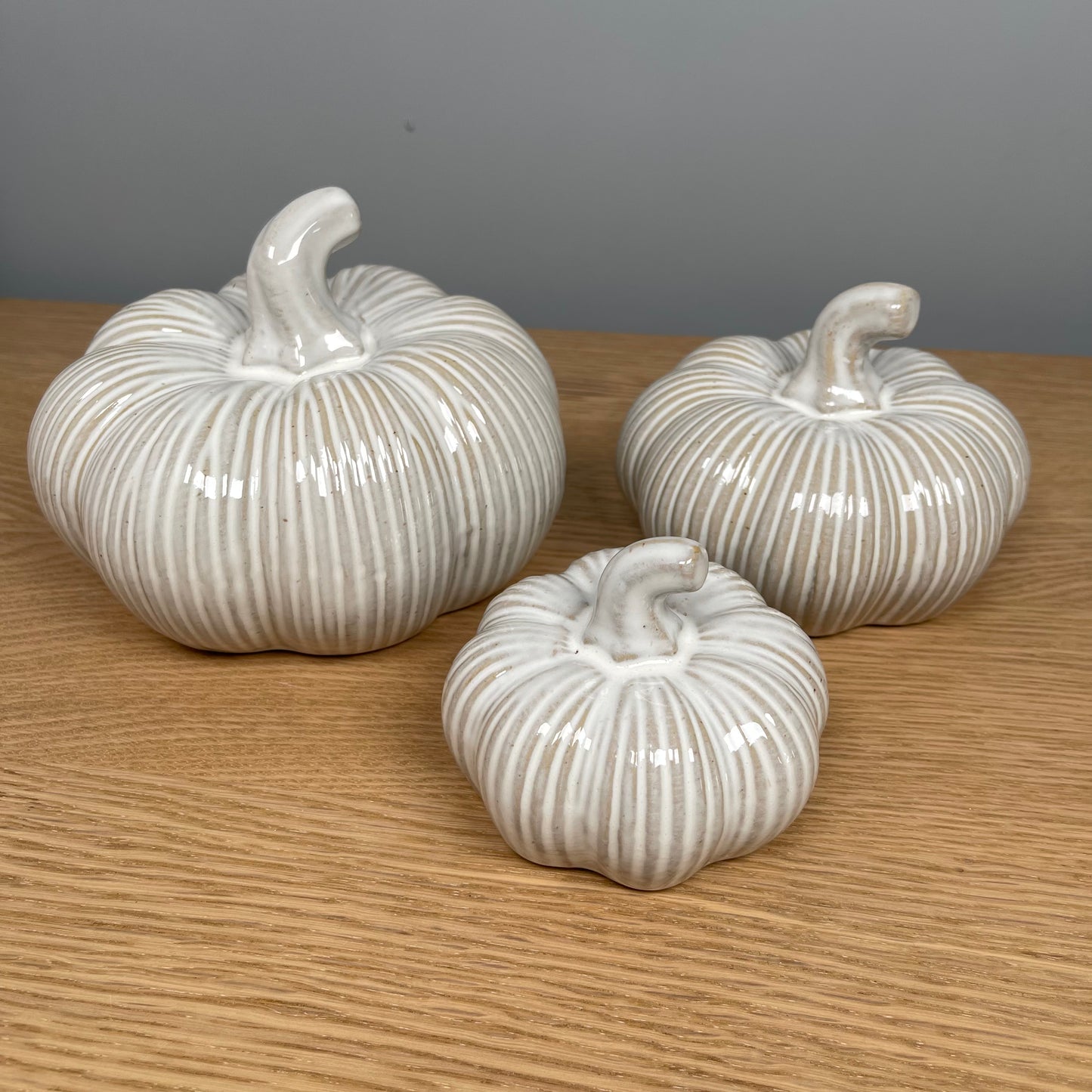 Distressed Ribbed Pumpkin - in 3 Sizes