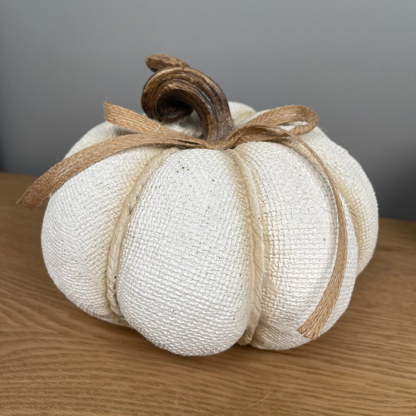 White Textured Pumpkin with Twisted Stem