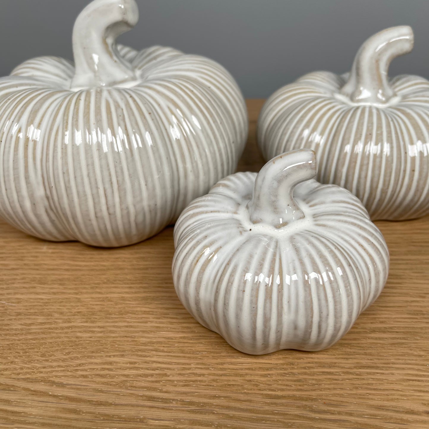 Distressed Ribbed Pumpkin - in 3 Sizes