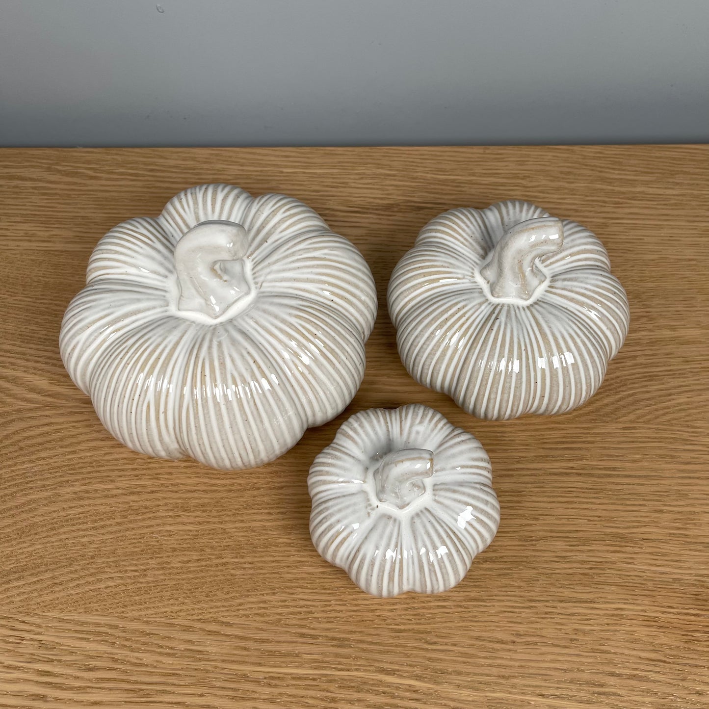 Distressed Ribbed Pumpkin - in 3 Sizes