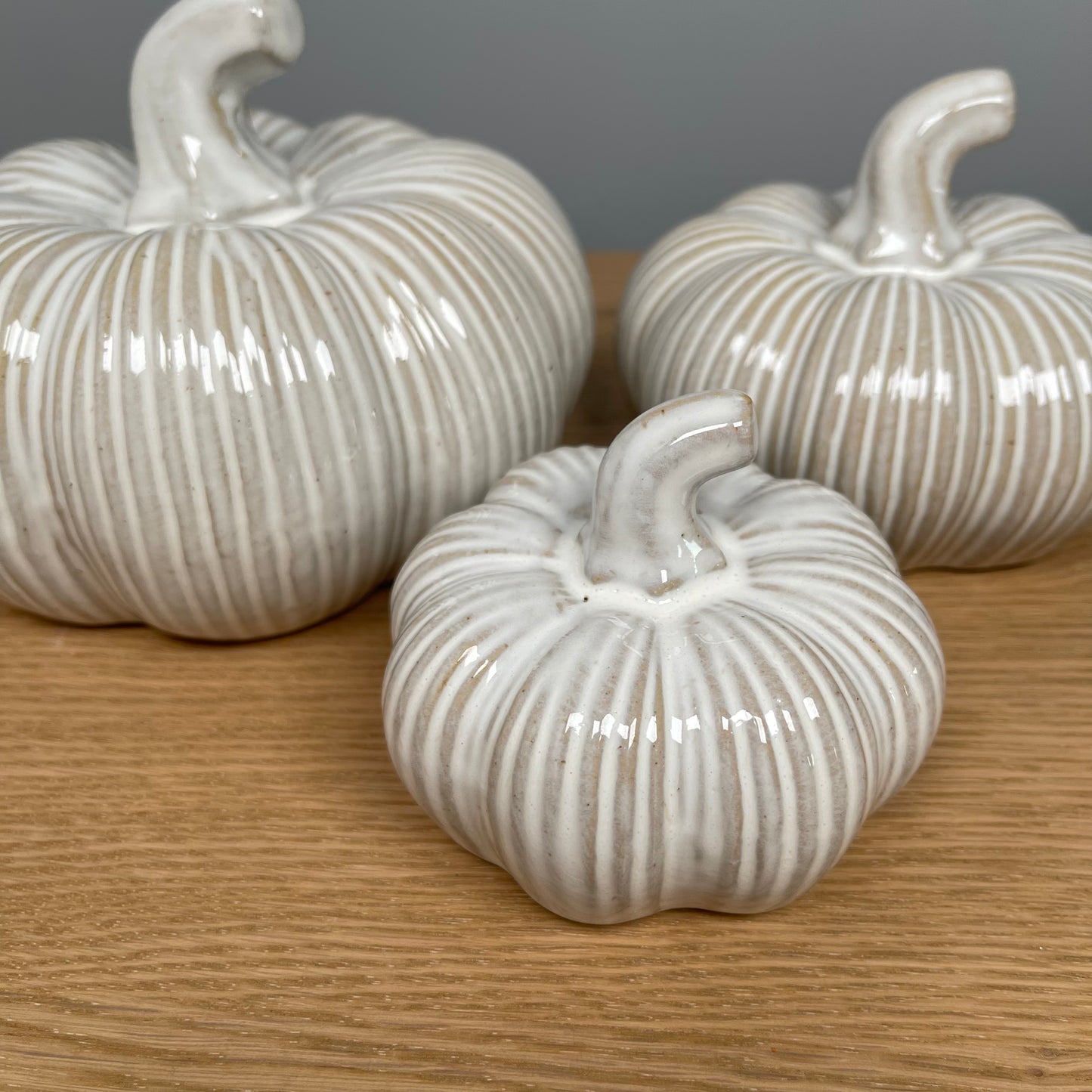 Distressed Ribbed Pumpkin - in 3 Sizes