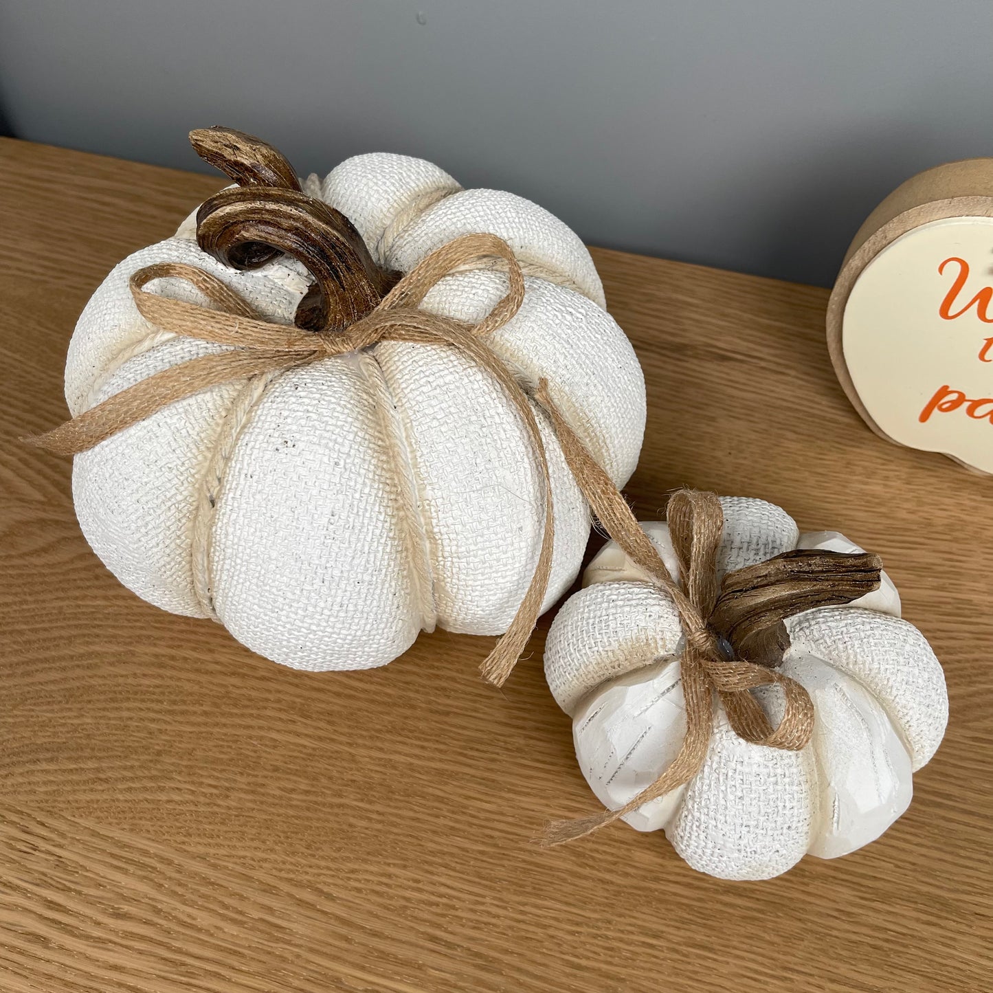 White Textured Pumpkin with Twisted Stem