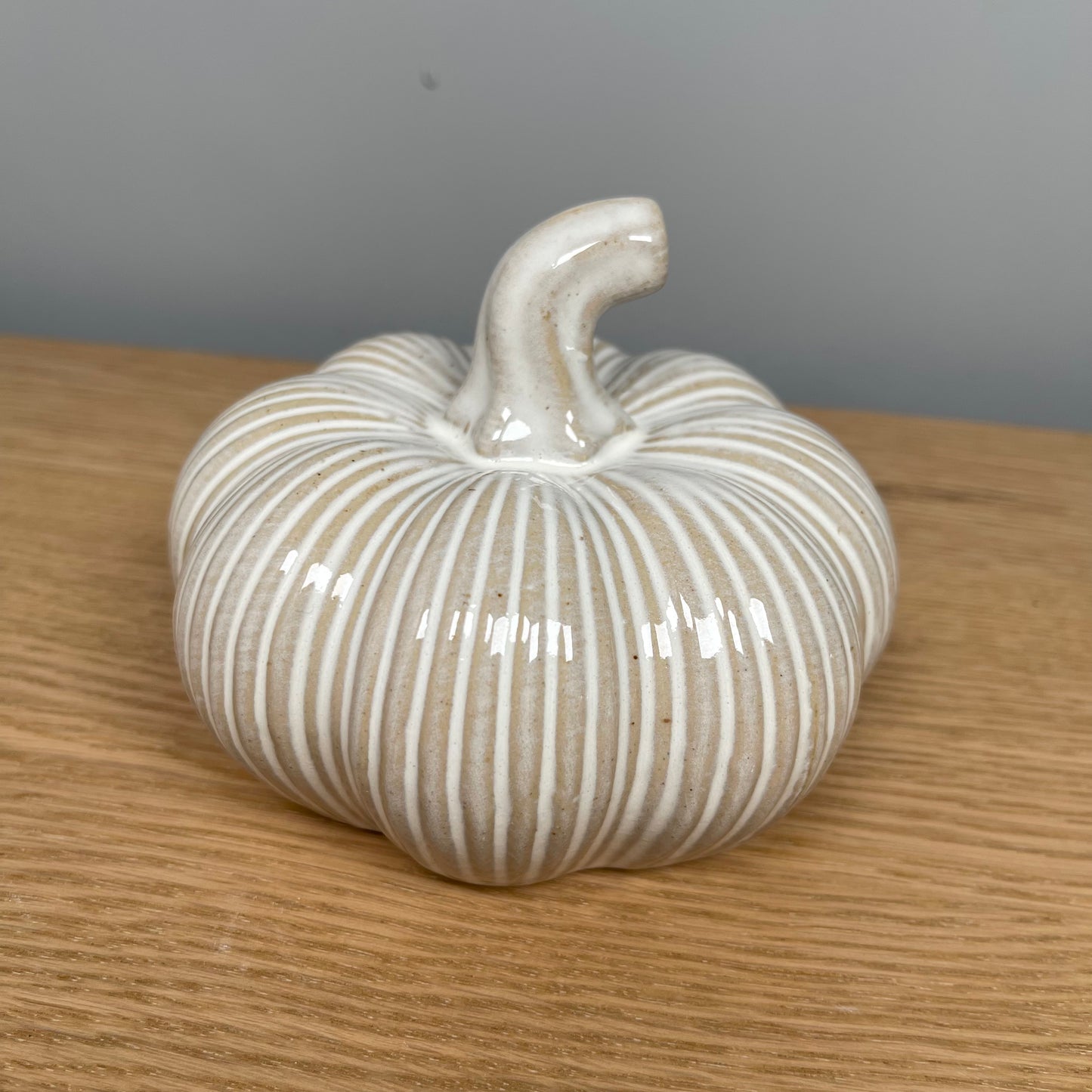 Distressed Ribbed Pumpkin - in 3 Sizes