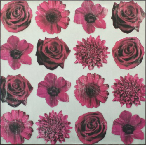 Metallic Silver Canvas Wall Art Claret Floral Feast