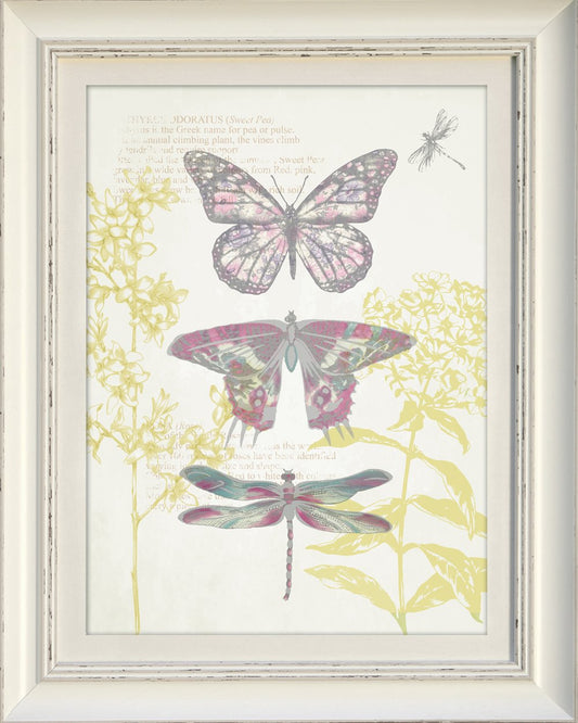 Arthouse, Enchanted Dragonfly Framed Print