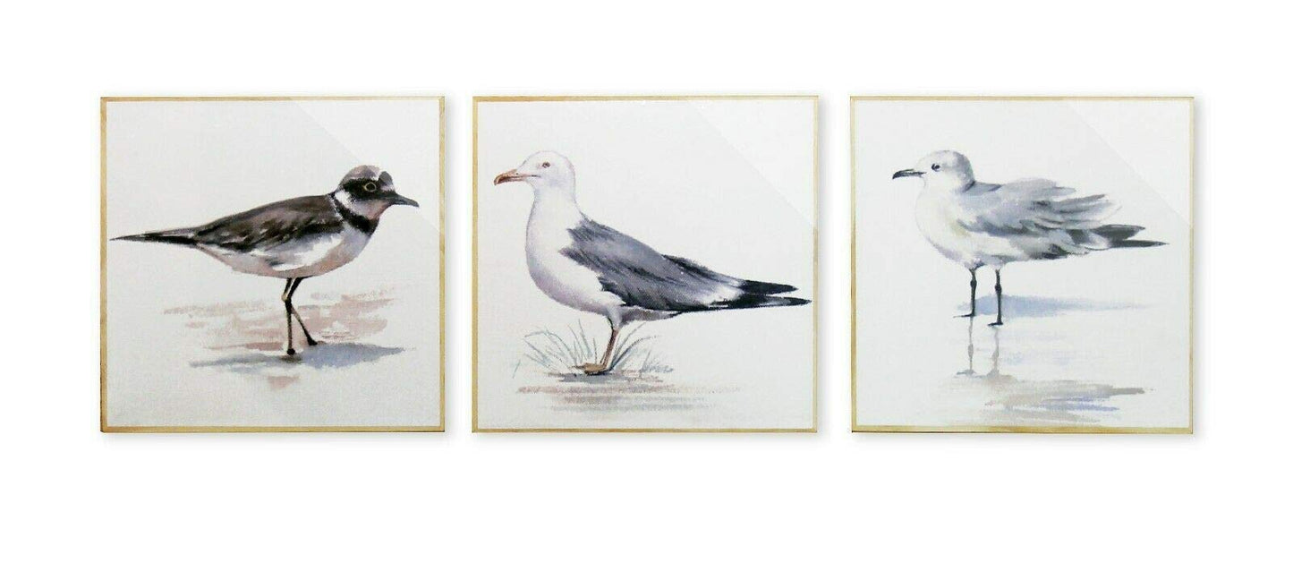 Set 3 Costal BIRDS Seaside Nautical Bathroom Prints Wall Art Pictures