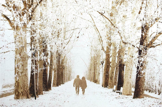 Large Winter Woodland Scene Canvas Wall Art Hanging Picture 90 x 60cm RRP £39