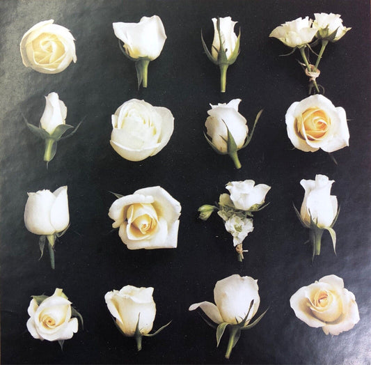 Black & Cream Rose Bud Flower Canvas Wall Art Hanging Picture 48cm RRP £20.00