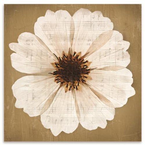Anemone Gold Wall Art Print