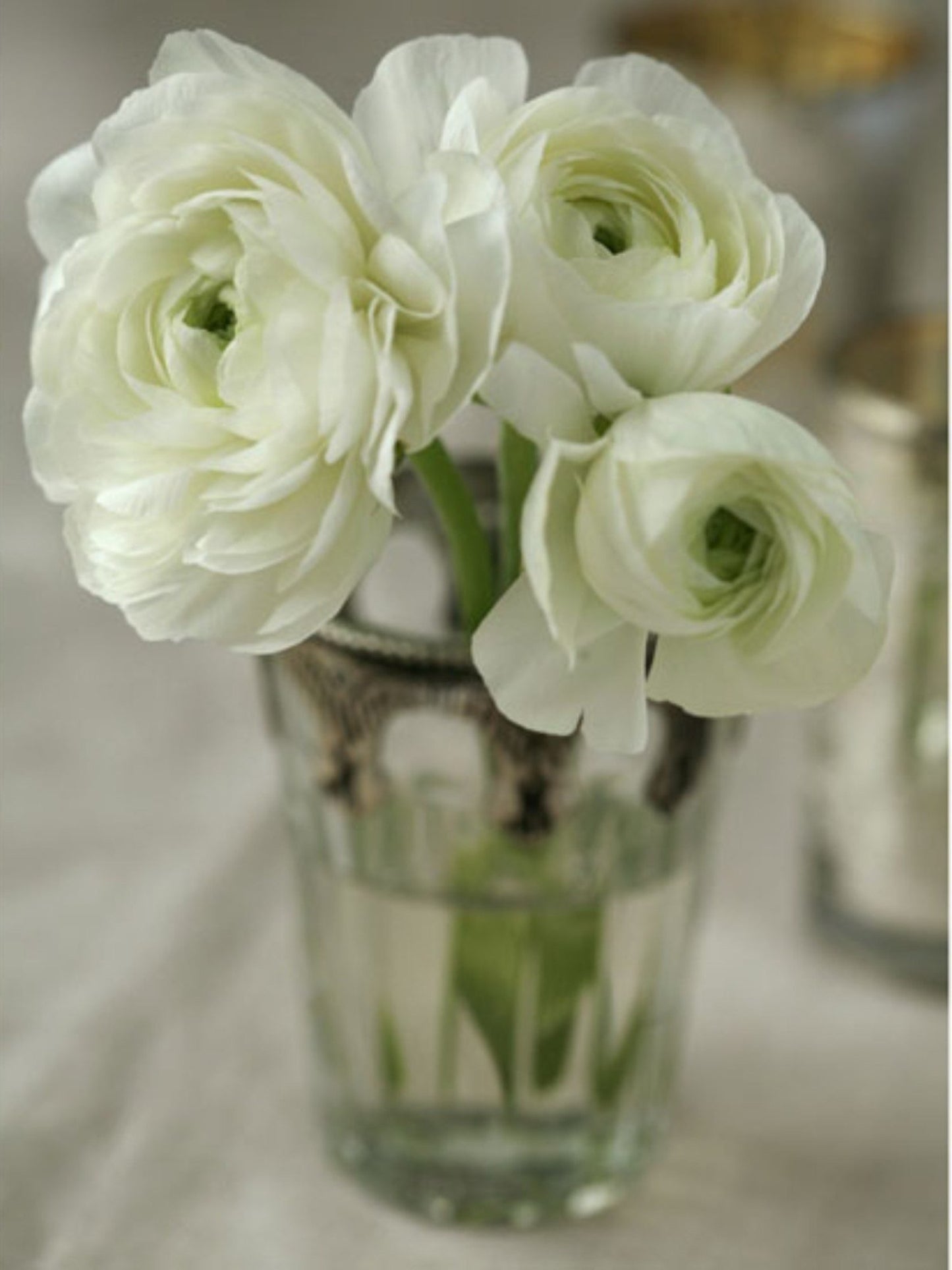 Arthouse Peonies In Vase Canvas 40cm x 50cm