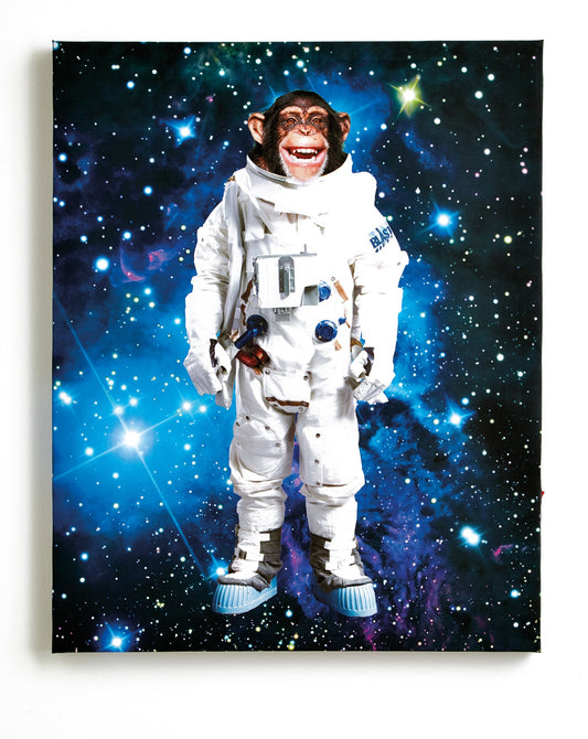 Imagine Fun Arthouse Space Monkey Printed Canvas 40cm x 50cm 004159