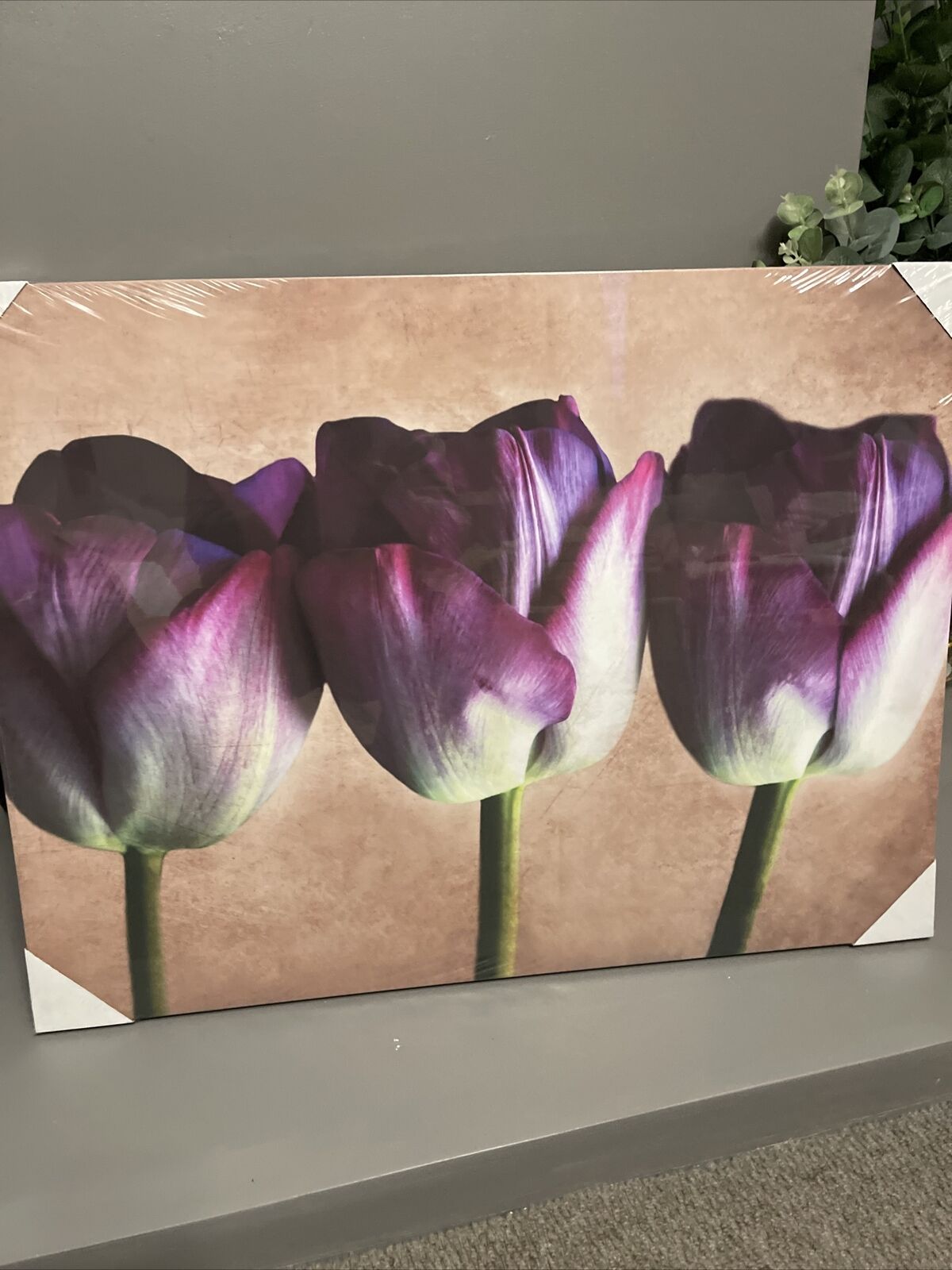 Large Tulip Flower Floral Canvas Wall Art Hanging Picture 60 X 80 Cm