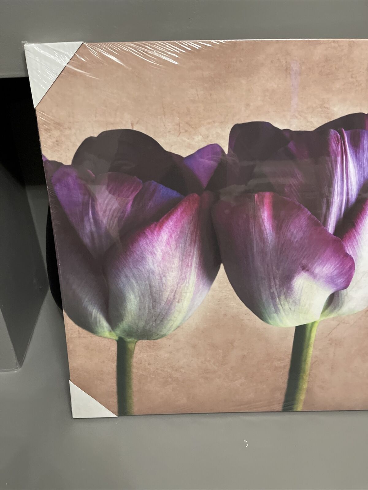 Large Tulip Flower Floral Canvas Wall Art Hanging Picture 60 X 80 Cm