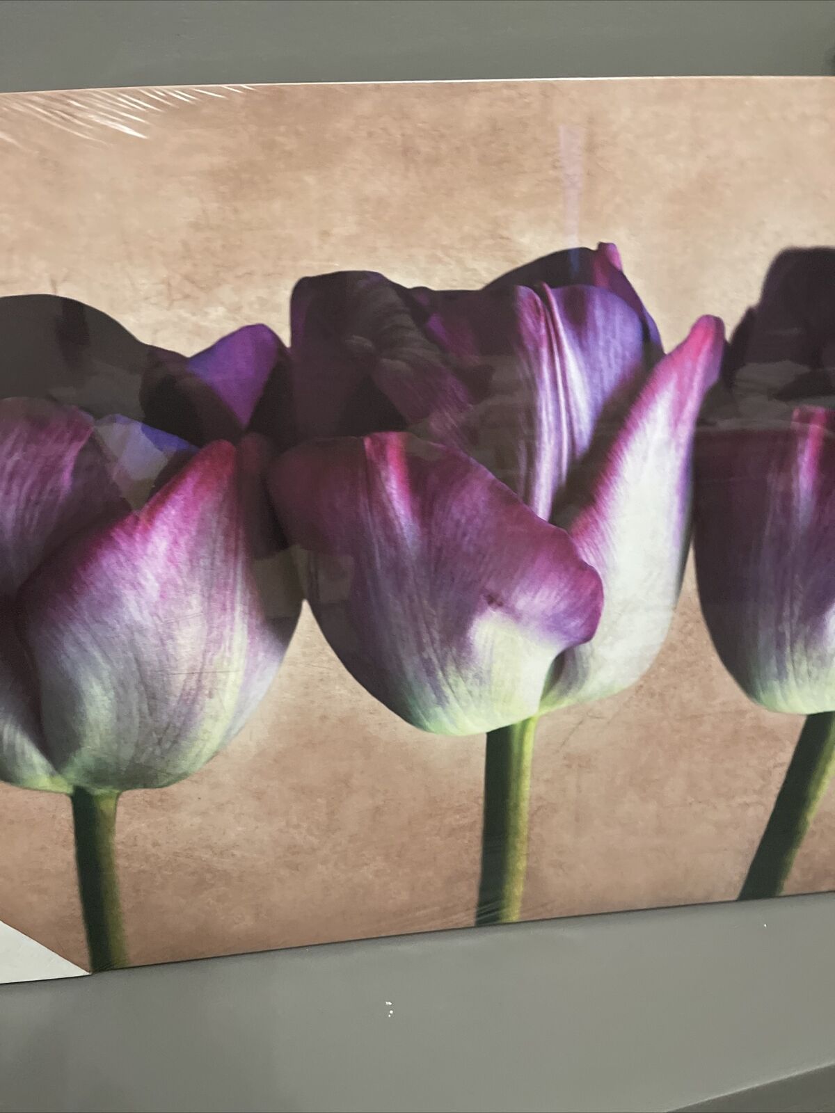 Large Tulip Flower Floral Canvas Wall Art Hanging Picture 60 X 80 Cm
