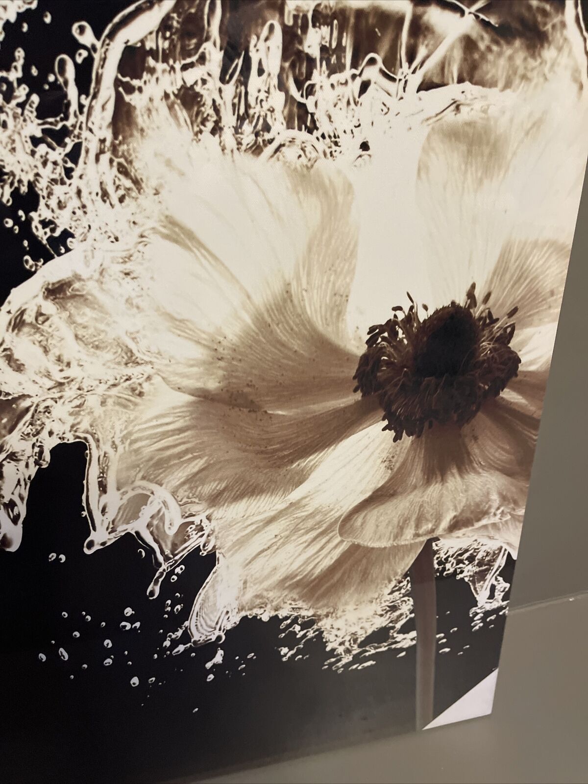 Large Flower Canvas Black White Modern Monochrome Wall Art Print 60 x 80cm