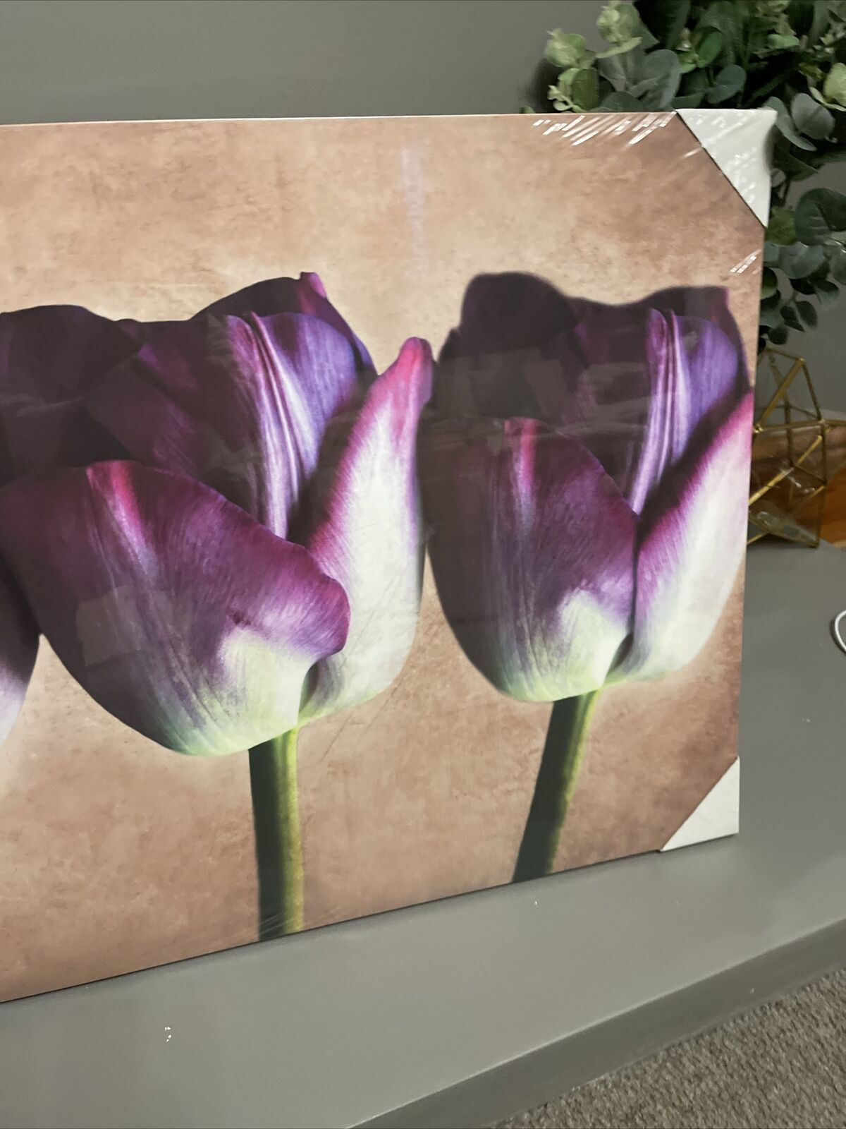 Large Tulip Flower Floral Canvas Wall Art Hanging Picture 60 X 80 Cm