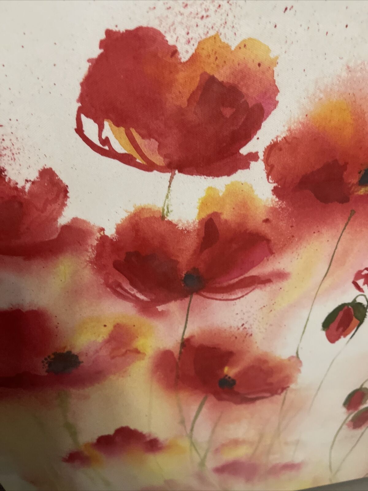 Large  Poppy Flower Floral Canvas Wall Art Hanging Picture 60 X 80 Cm