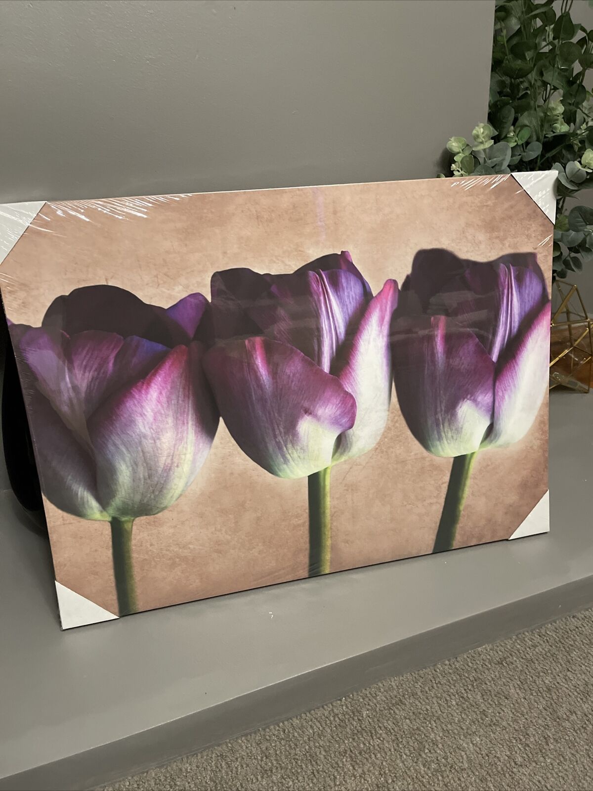 Large Tulip Flower Floral Canvas Wall Art Hanging Picture 60 X 80 Cm
