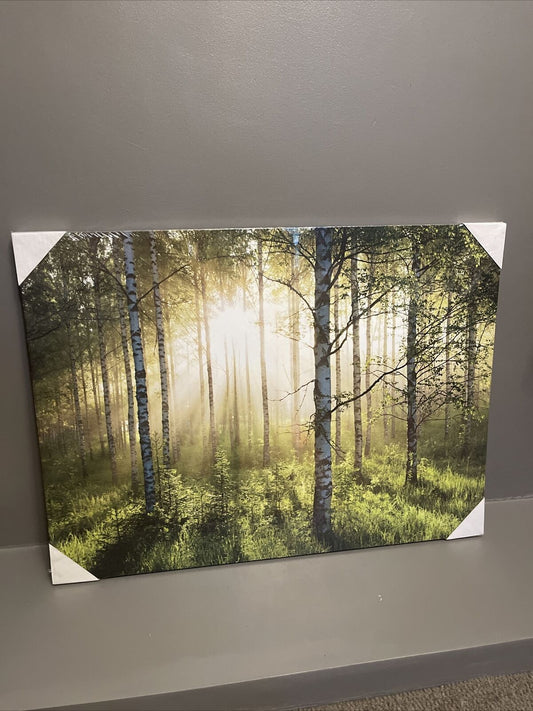 Large Forest Woodland Scene Canvas Wall Art Hanging Picture 90 x 60cm RRP £39