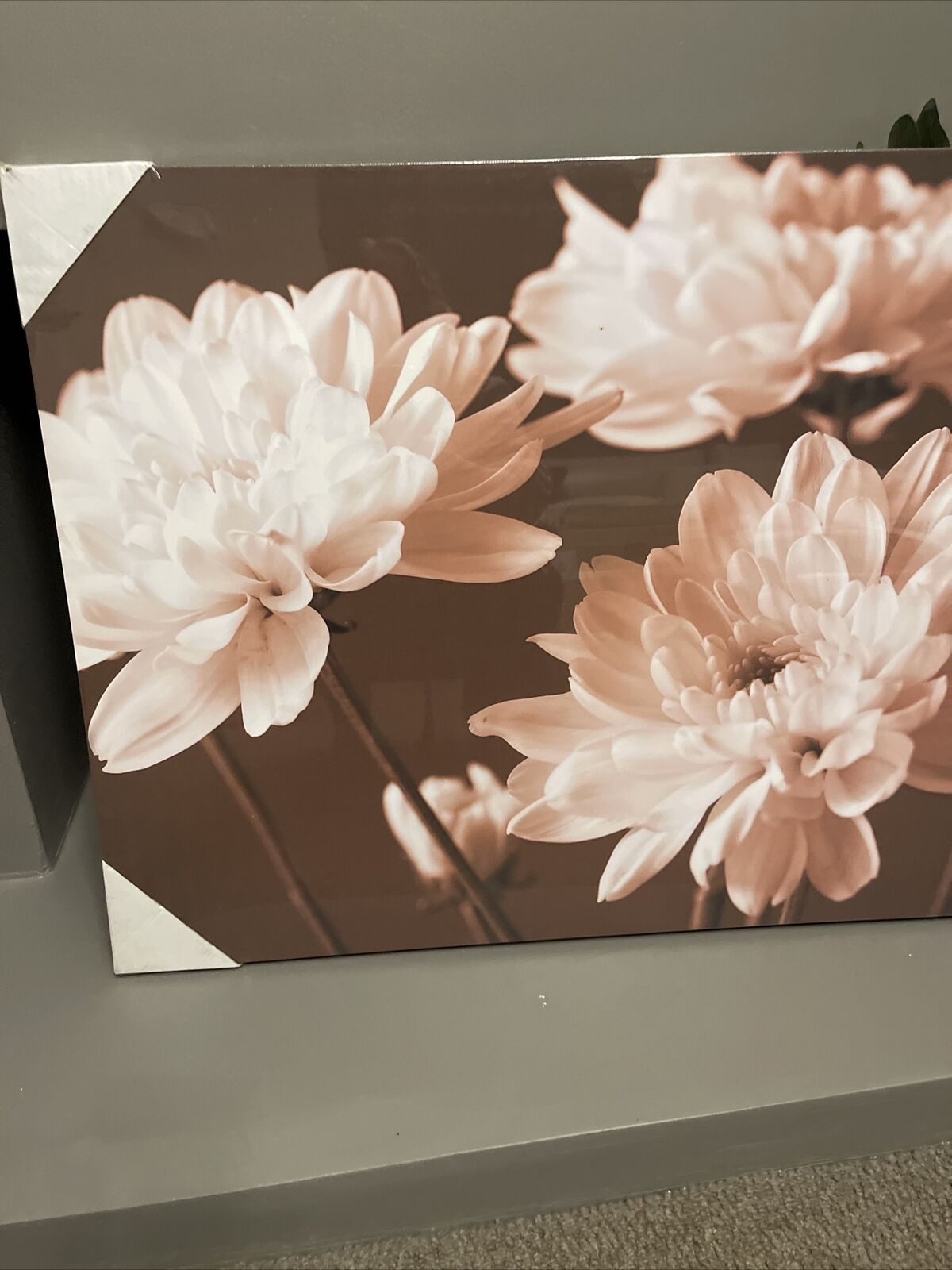 Large  Sepia Flower Floral Canvas Wall Art Hanging Picture 60 X 80 cm RRP £40