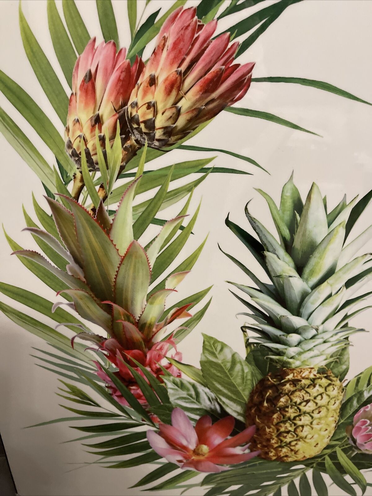 Large  White Tropical Printed High Gloss  Print Wall Art Hanging Home Decor