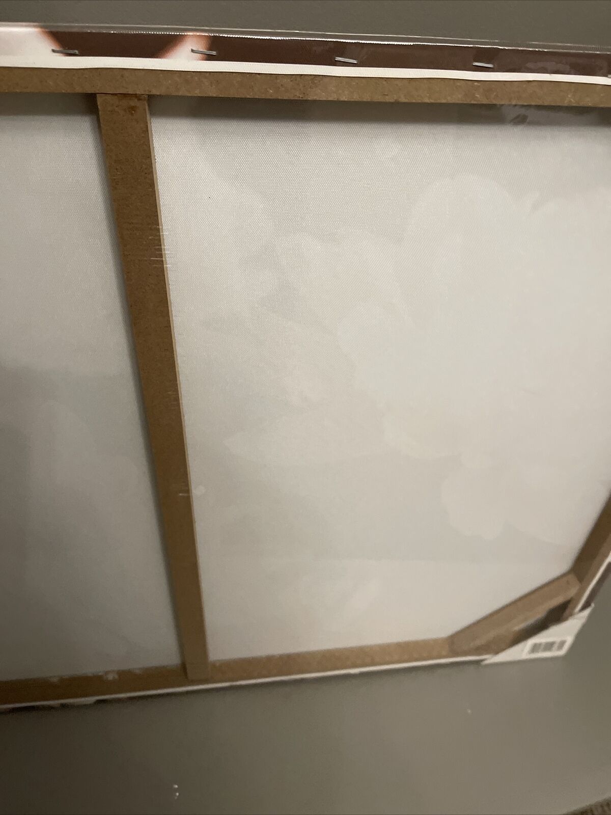 Large  Sepia Flower Floral Canvas Wall Art Hanging Picture 60 X 80 cm RRP £40