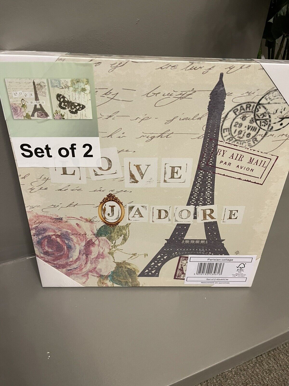 Set of 2 Parisian Collage Printed Canvas Wall Art Hanging Picture 40cm RRP £30