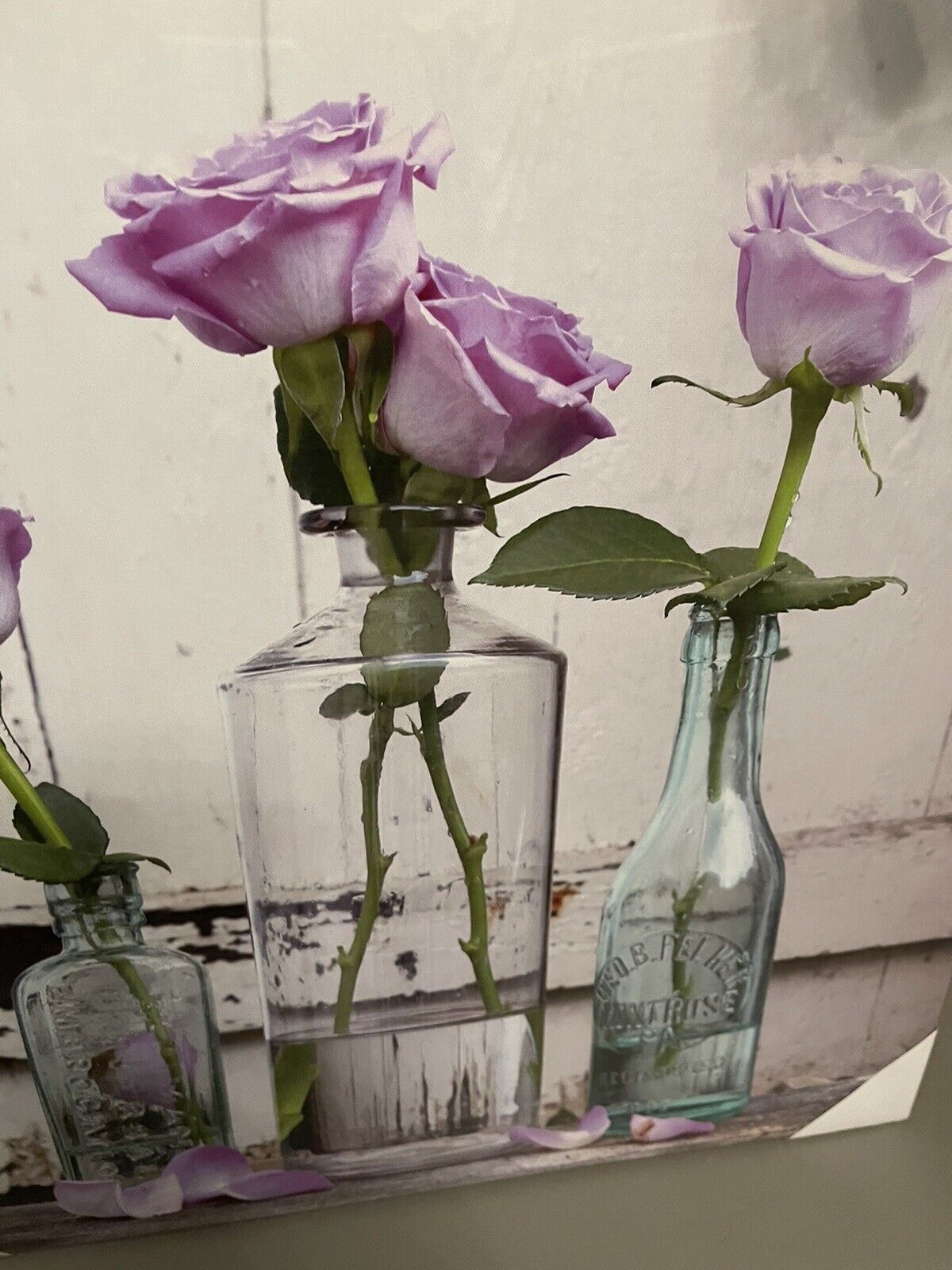 Lilac Rose Flowers Floral In Vase Canvas Wall Art Hanging Picture 48cm RRP £20