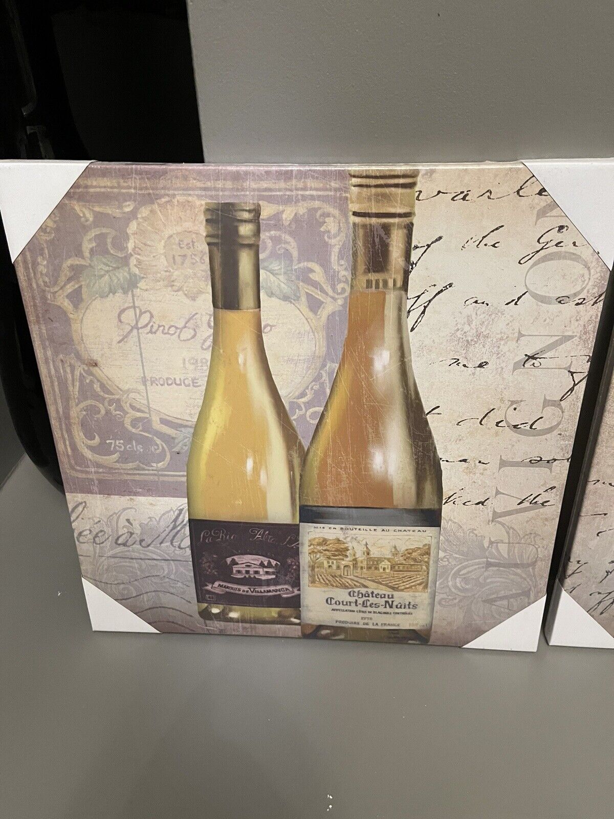 Set of 2  Wine Bottle Glass Printed Canvas Wall Art Hanging Picture 40 x 40 cm