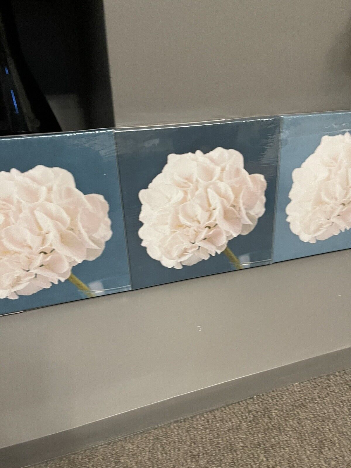 Set of 3 Teal & Cream Flower Printed Wall Art Canvas Pictures RRP £45