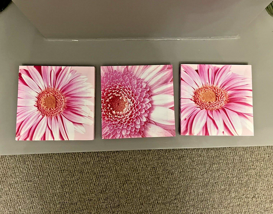Set of 3 Pink Flower Floral Printed Wall Art Canvas Pictures RRP £20.00