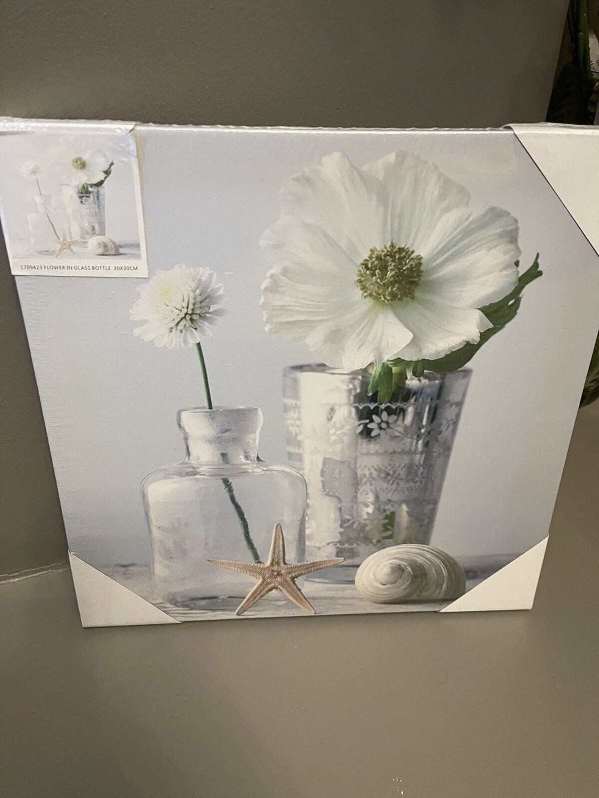 Flower in Glass Bottle Printed Canvas Wall Art Hanging Picture 30cm RRP £15